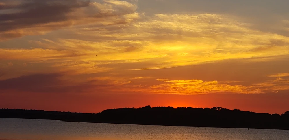 Image uploaded by Dillon