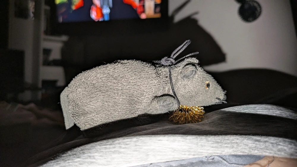 Bild hochgeladen von Lina