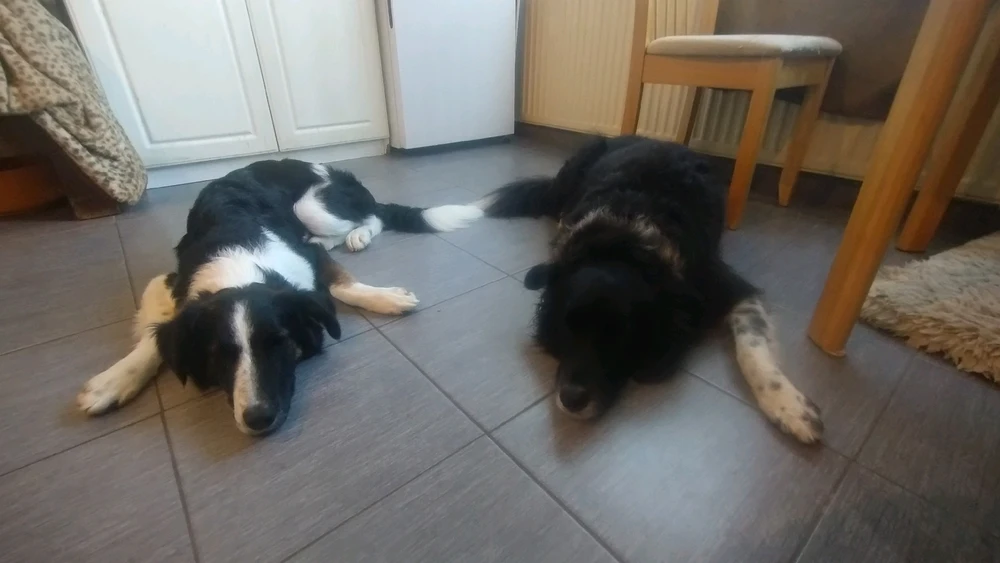 Víkend na jazerách..?