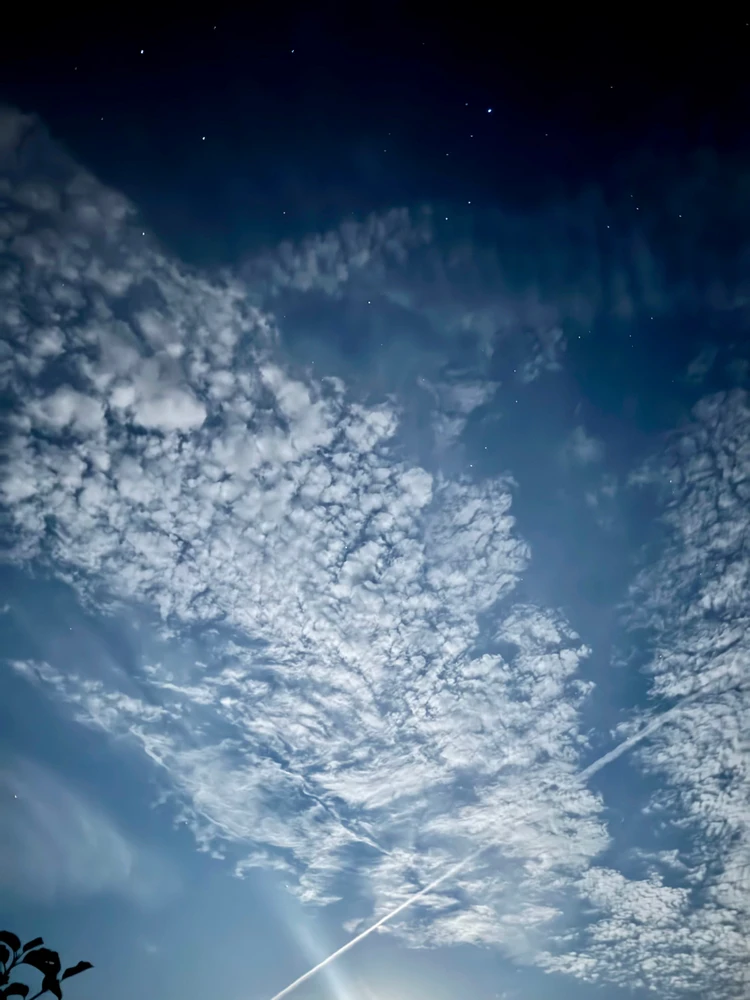 GIF dodany przez Szymon