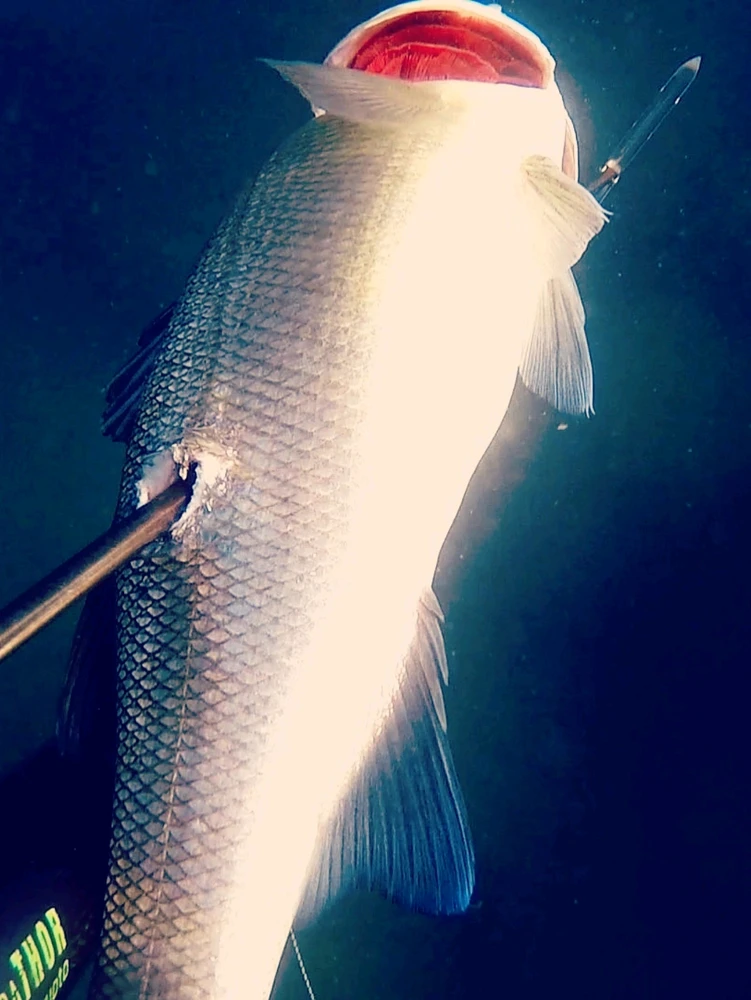 GIF uploaded by Aquarius®