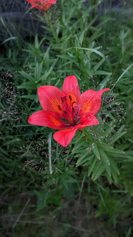 GIF uploaded by Miidna