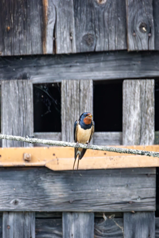 Bild hochgeladen von Joschi