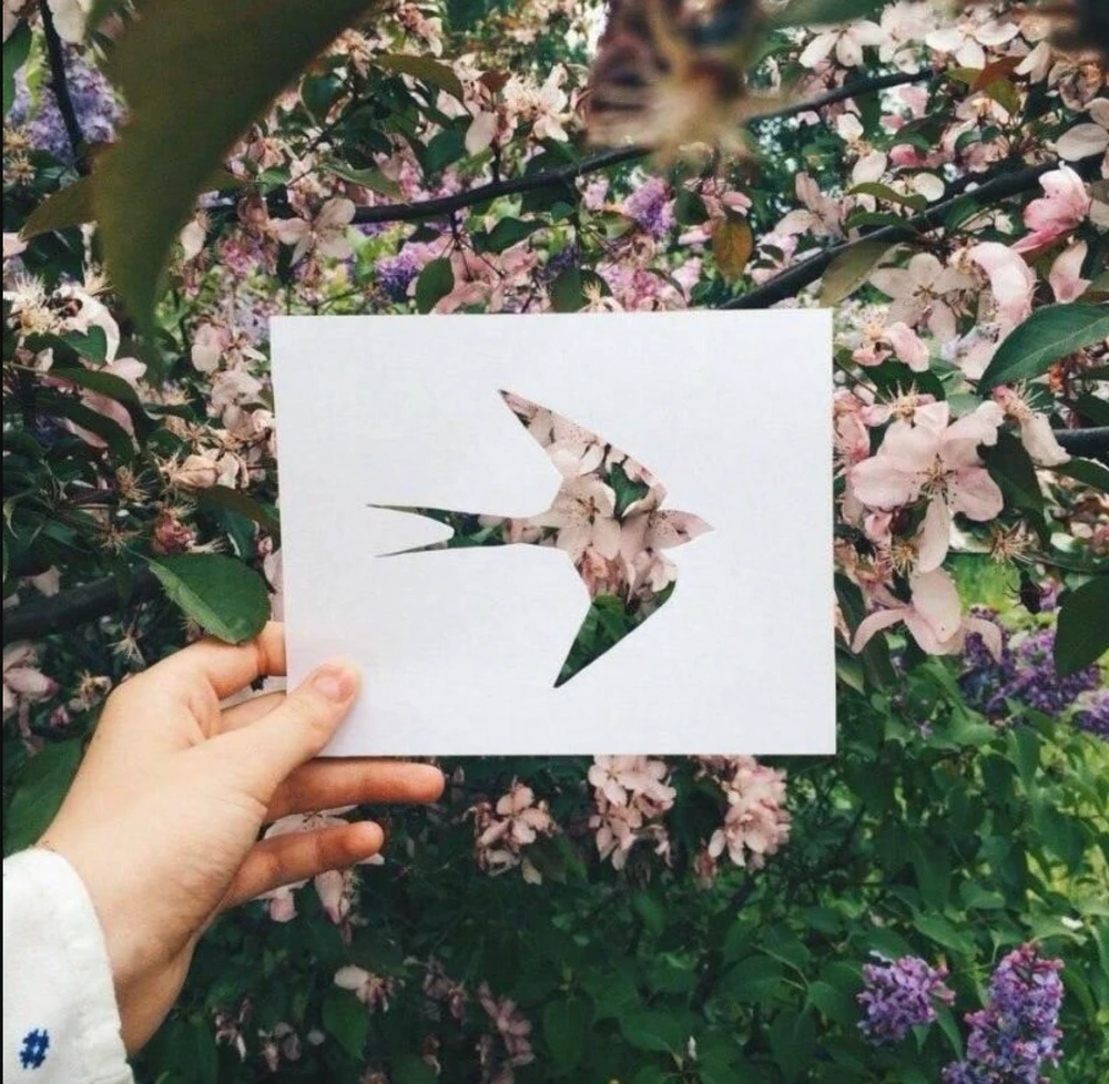 Фото загрузил Isaac