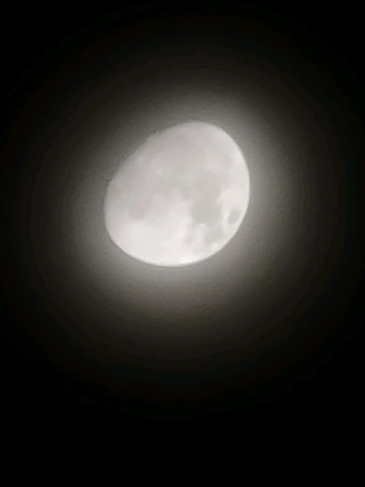 Image uploaded by Cath