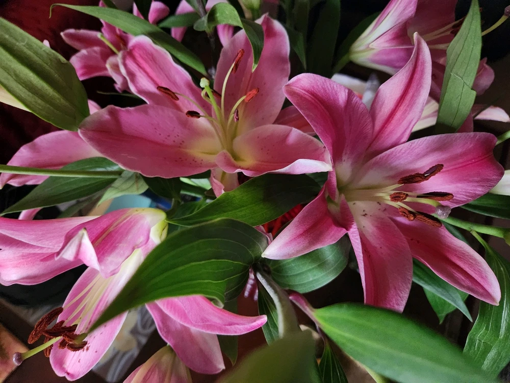 Image uploaded by Elle