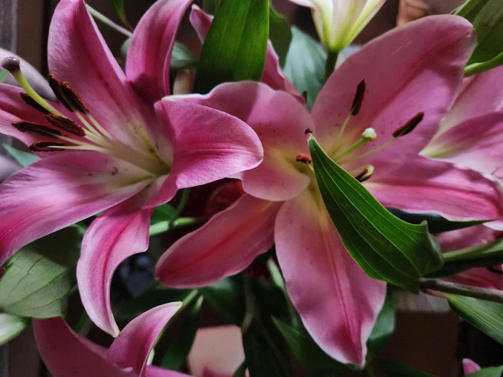 Image uploaded by Elle