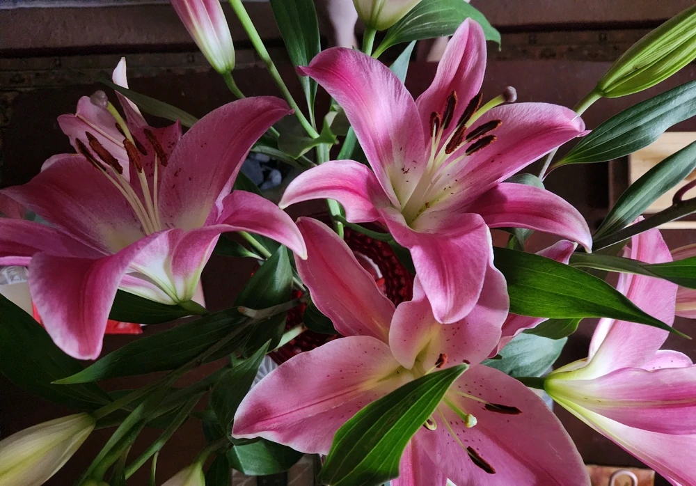 Image uploaded by Elle