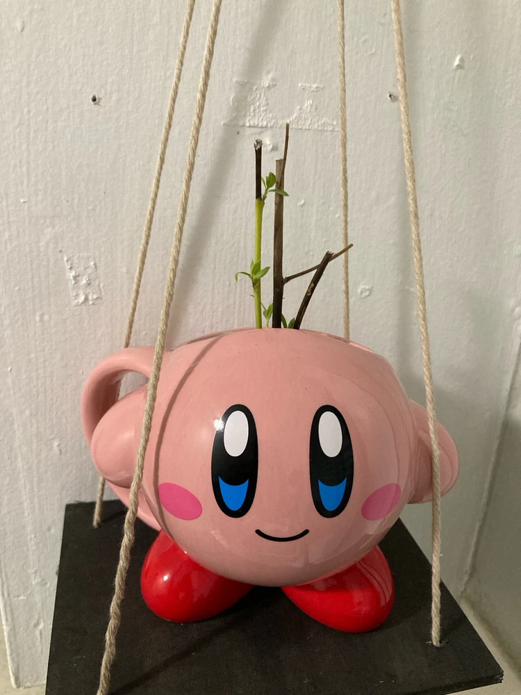 Image uploaded by Kip