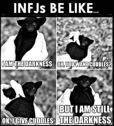 GIF uploaded by Melissa