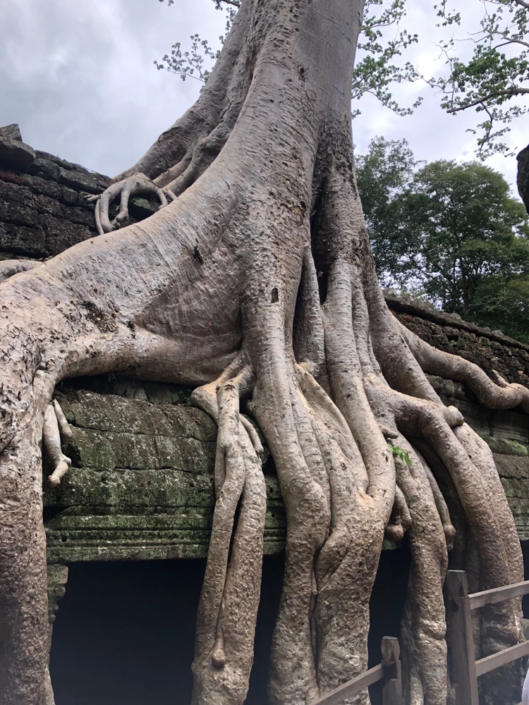 Image uploaded by Sochong