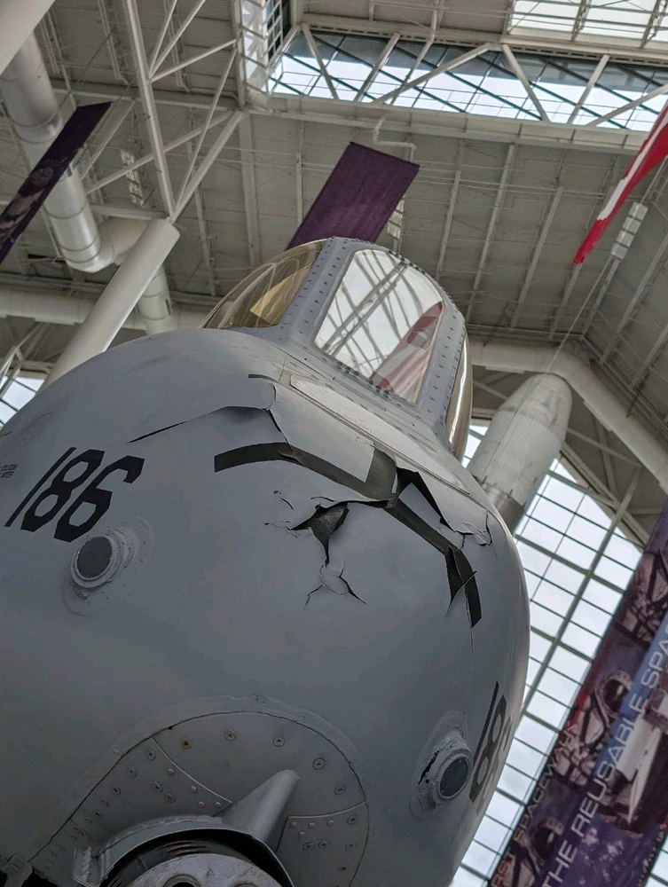 GIF diunggah dening Bug