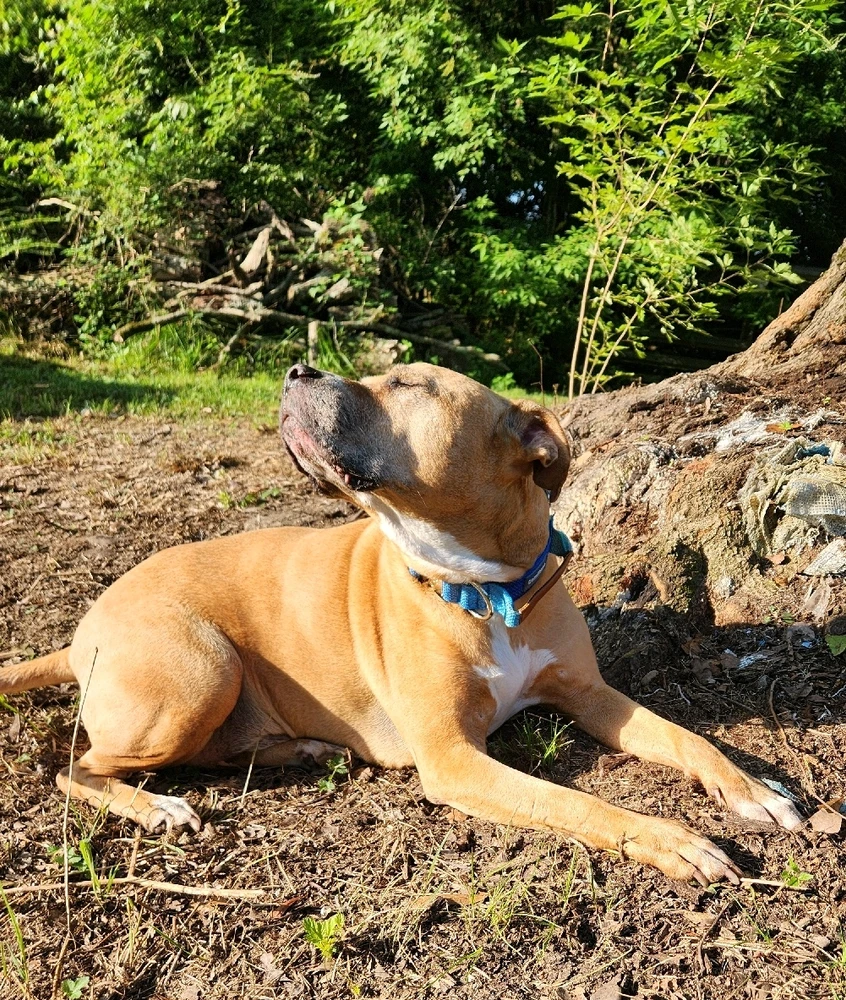 Image uploaded by Dru