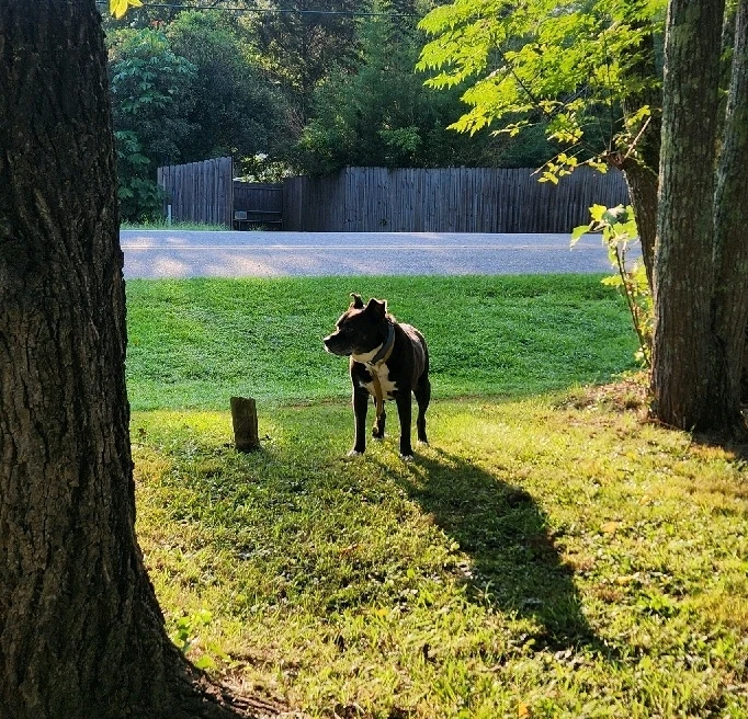 Image uploaded by Dru