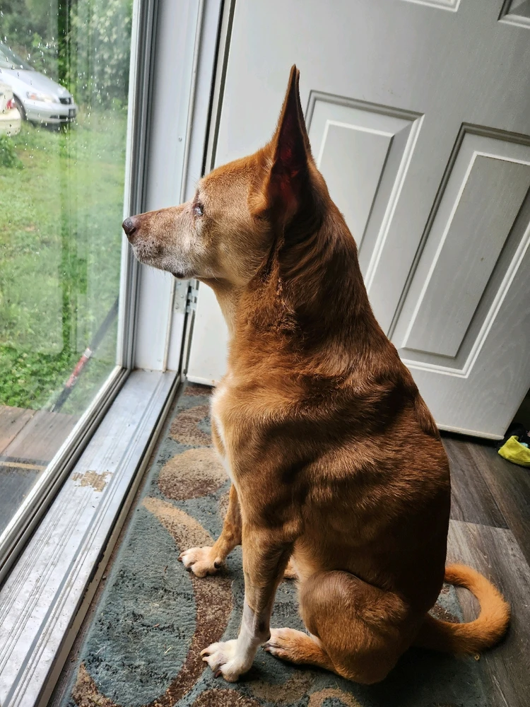 Image uploaded by Dru