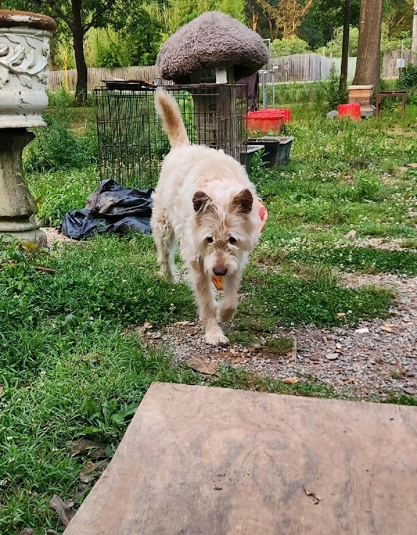 Image uploaded by Dru