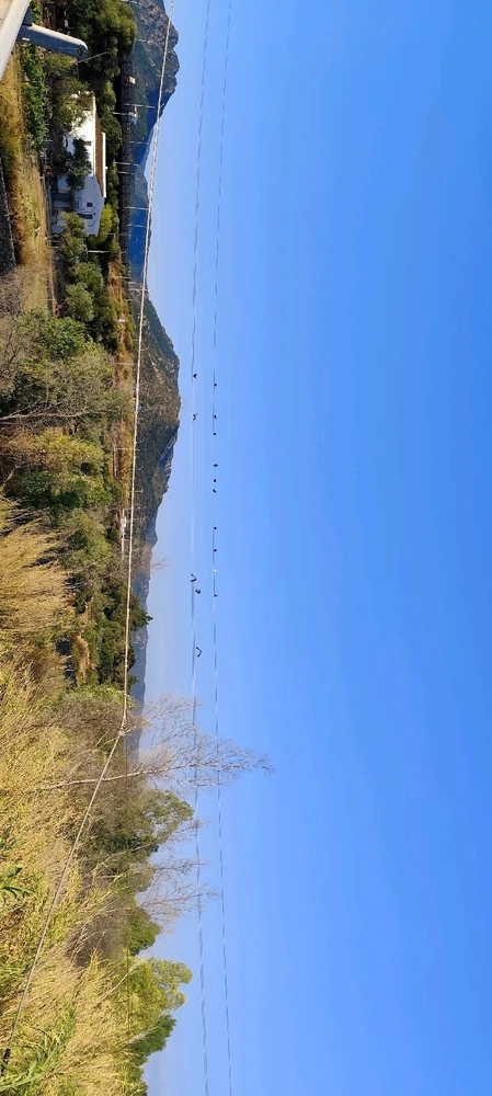 Immagine caricata da Nanaki