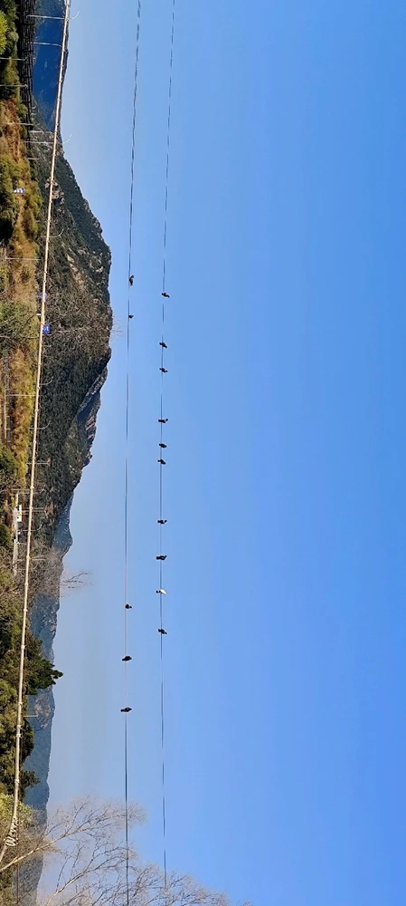 Immagine caricata da Nanaki