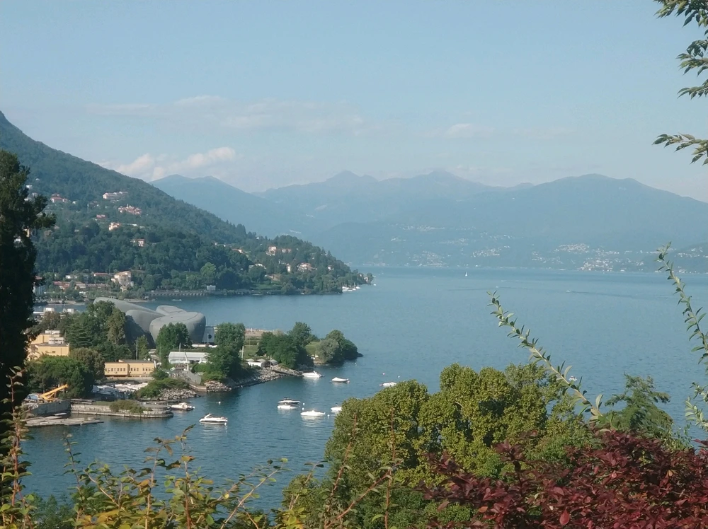 Image uploaded by Max
