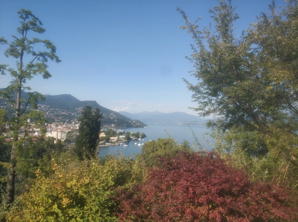 Image uploaded by Max