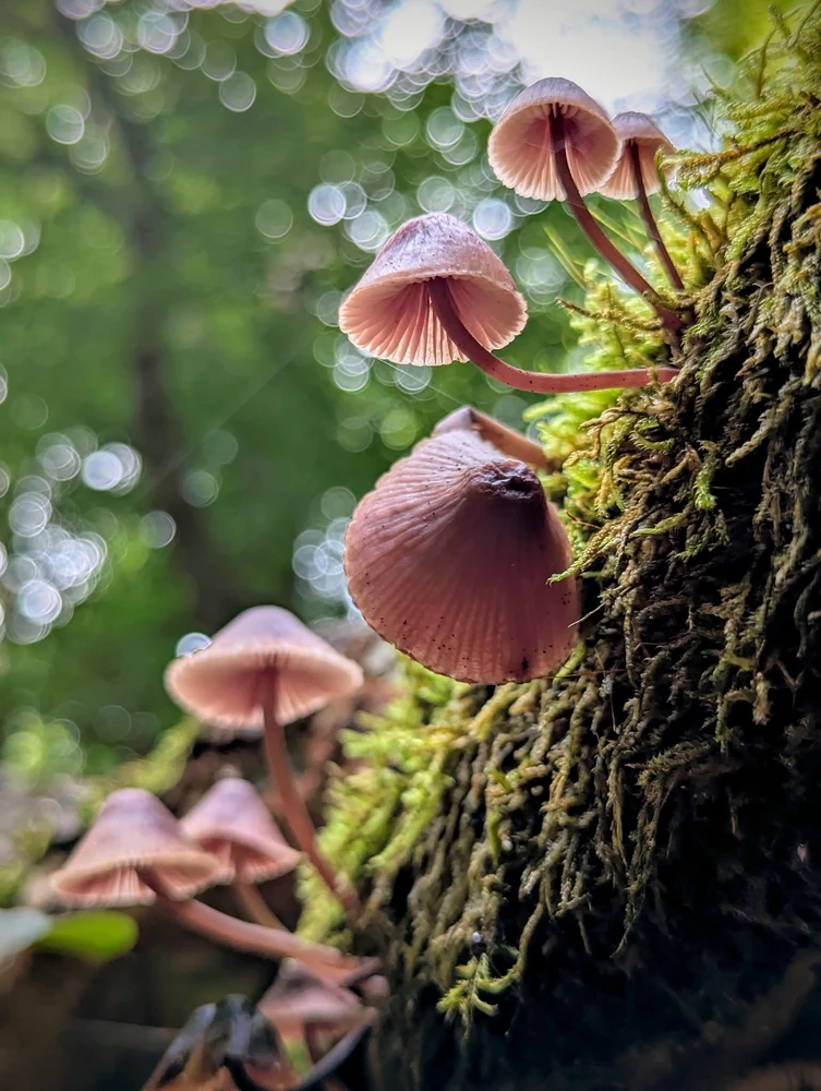 Bild hochgeladen von Agata J.