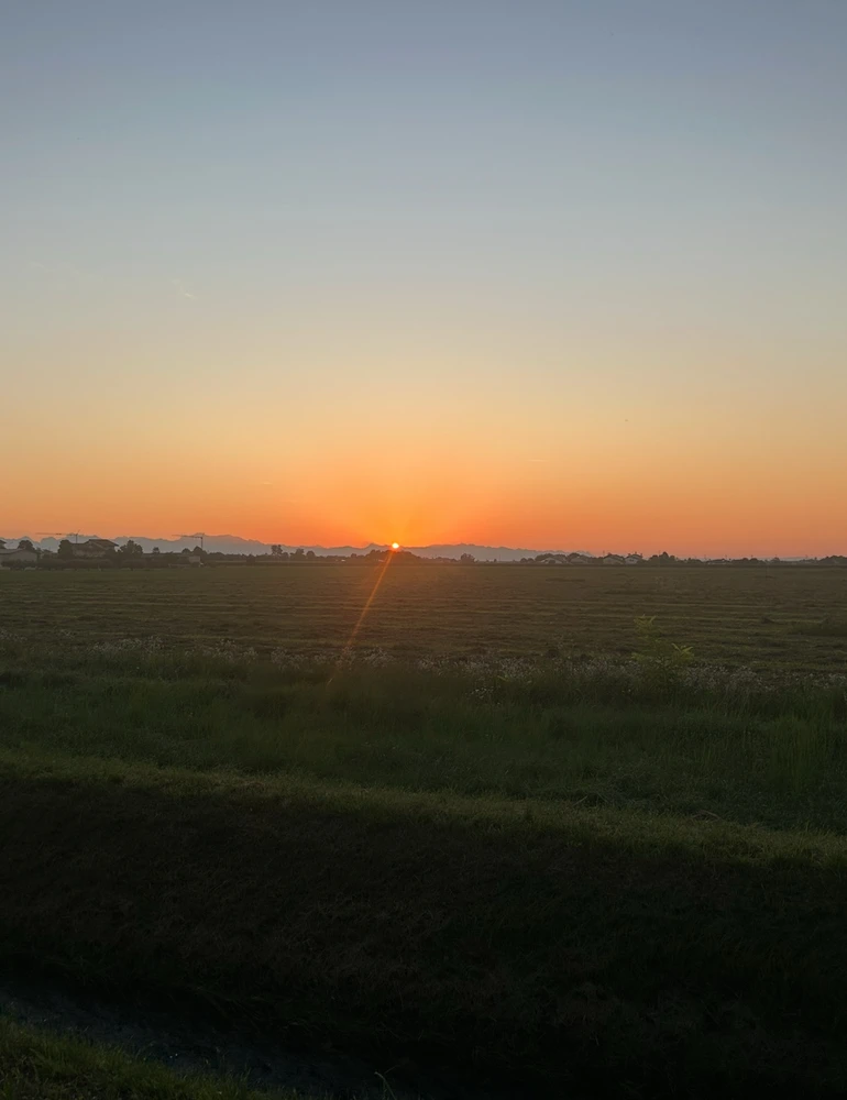 GIF enviado por Fabio