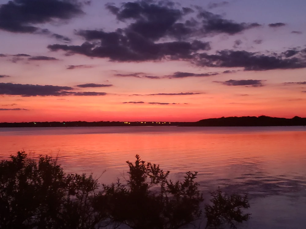 Image uploaded by Dillon