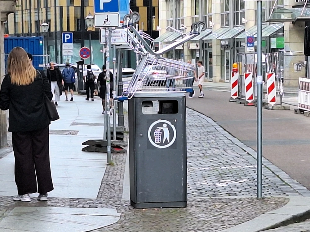 Das Gittertier beim sonnen, muss bereits Kontakt zu Menschen gehabt haben, da es kaum Nervosität zeigt trotz der Elevation.