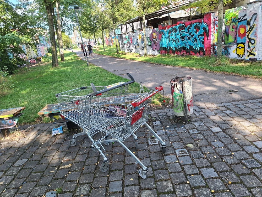 Das Liebesspiel der Gitteetiere in freier Wildbahn ist ein seltenes Schauspiel.