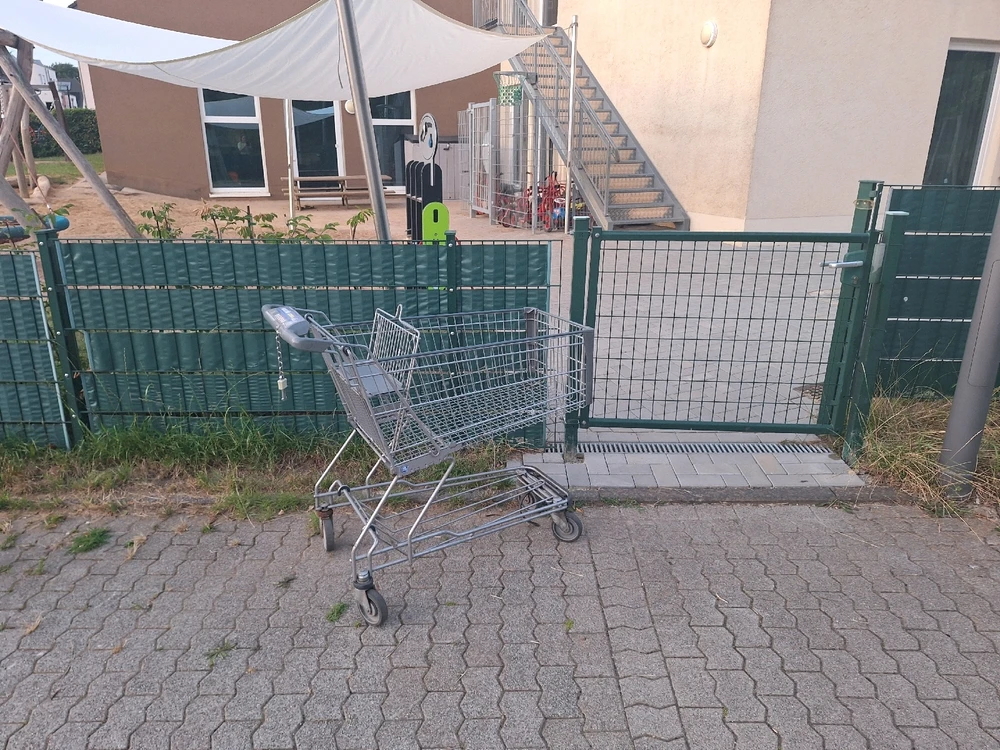 Das domistizierte Gittertier versucht als Kulturfolger sich Zugang zu menschlichen Behausungen zu verschaffen.