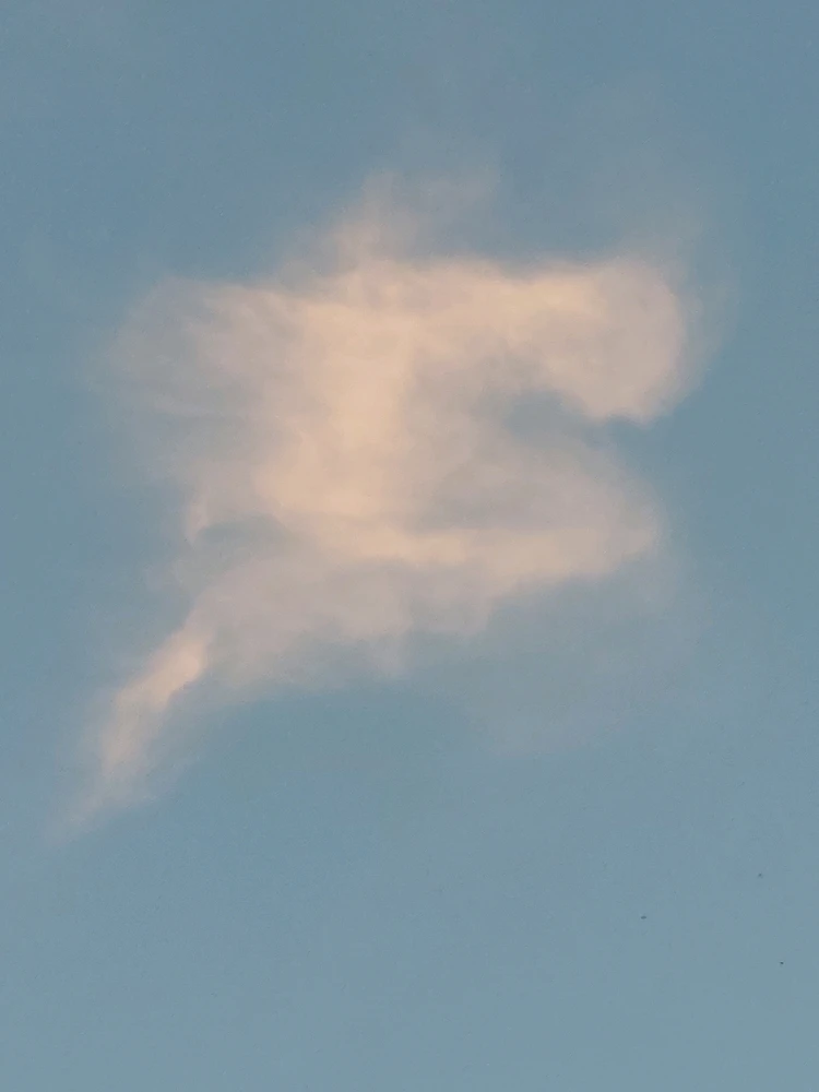 GIF nahral Molnar.Robert