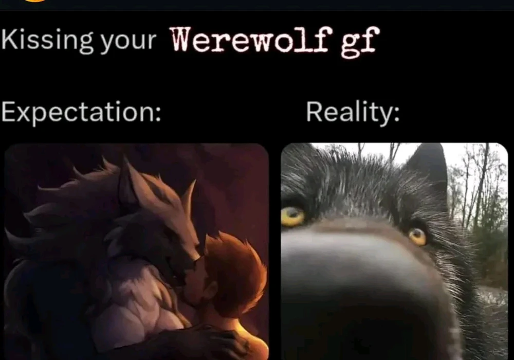 GIF uploaded by Travis "Bickle" Pugh