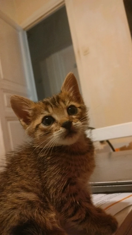 GIF uploaded by Stephan