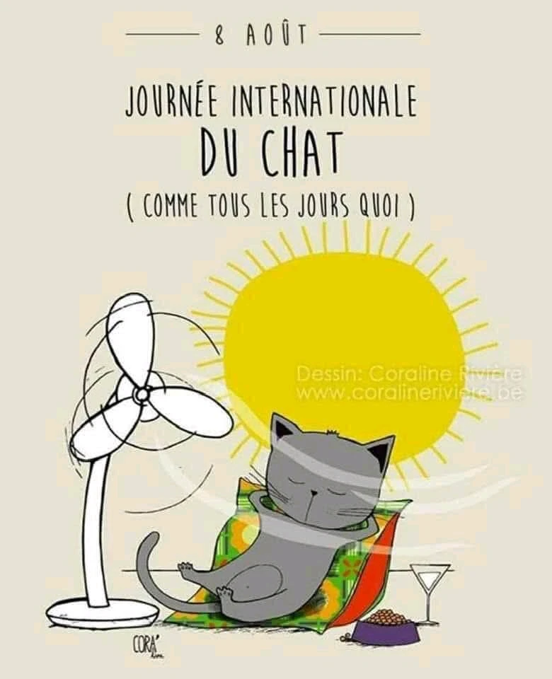 GIF ajouté par Stephe