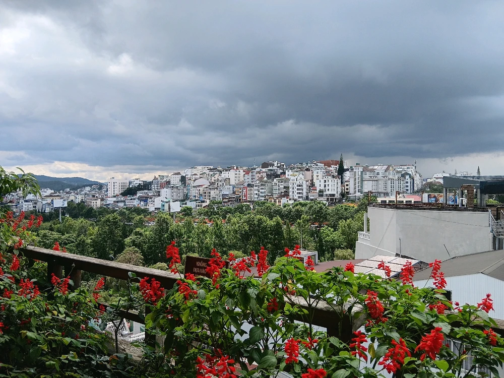 I want to learn more language in the community and linguistics in communication to serve my work