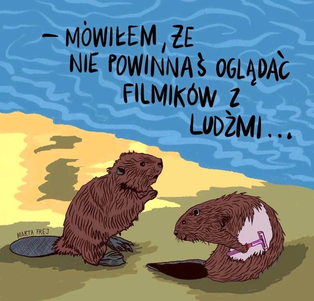 GIF dodany przez Wilk