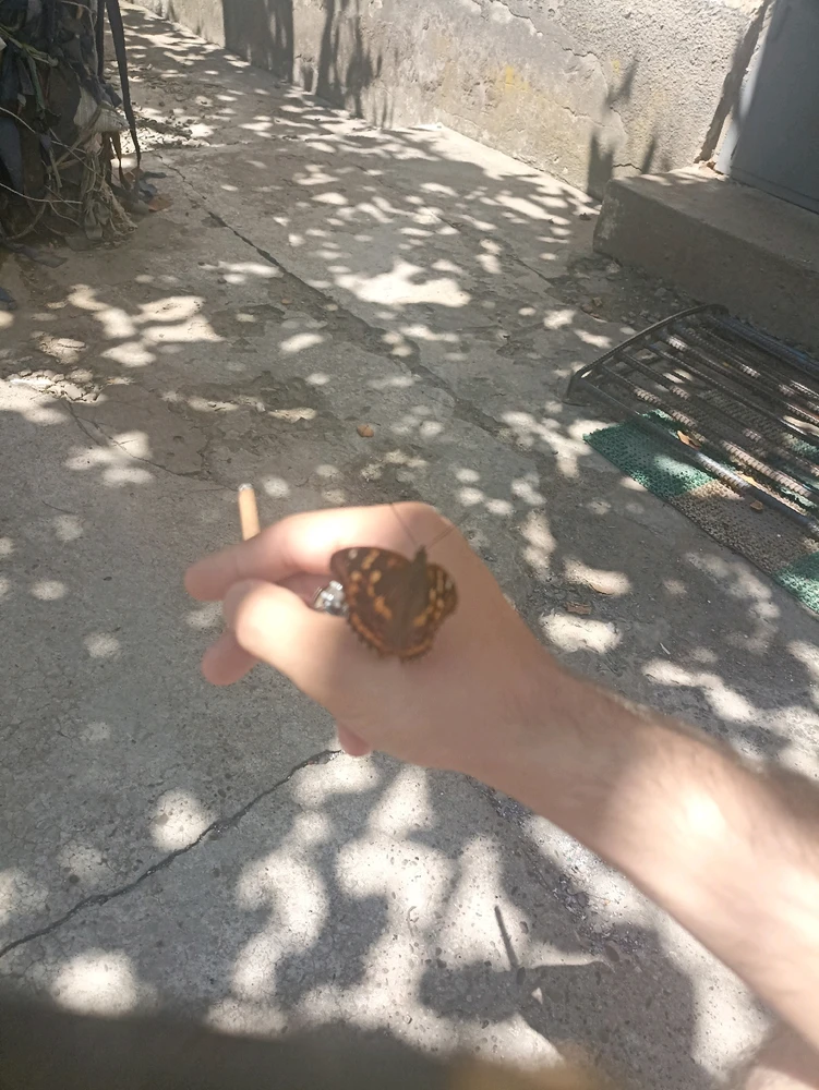 Гіфку завантажив Ярослав