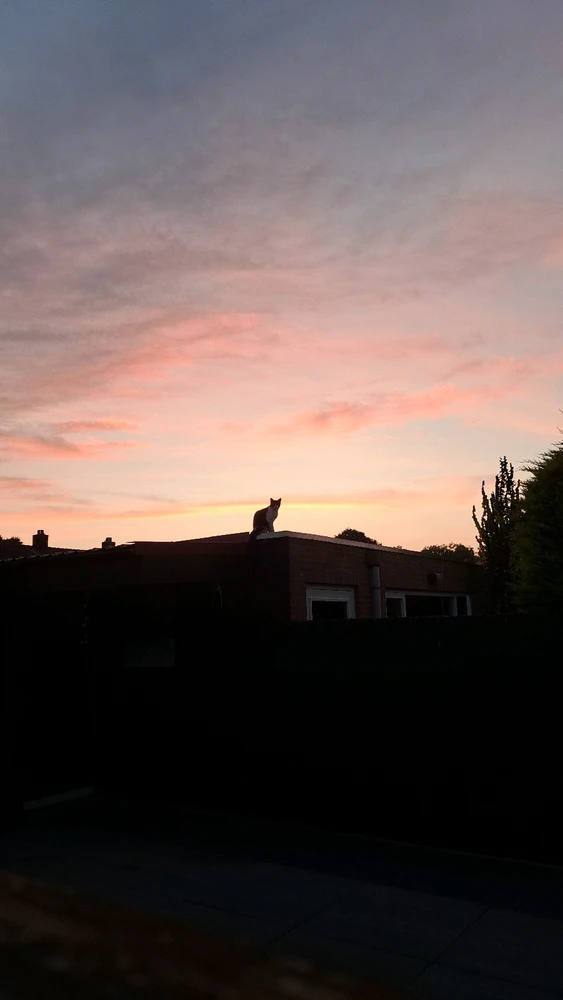 GIF geüpload door Lisa