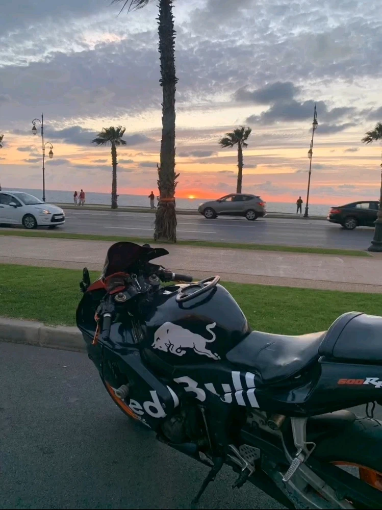 GIF ajouté par MEDO