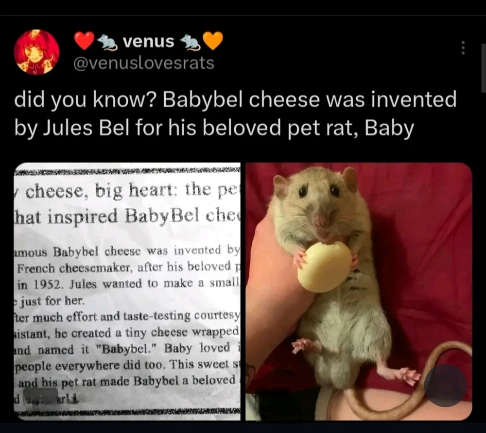 Image uploaded by Jacqueline