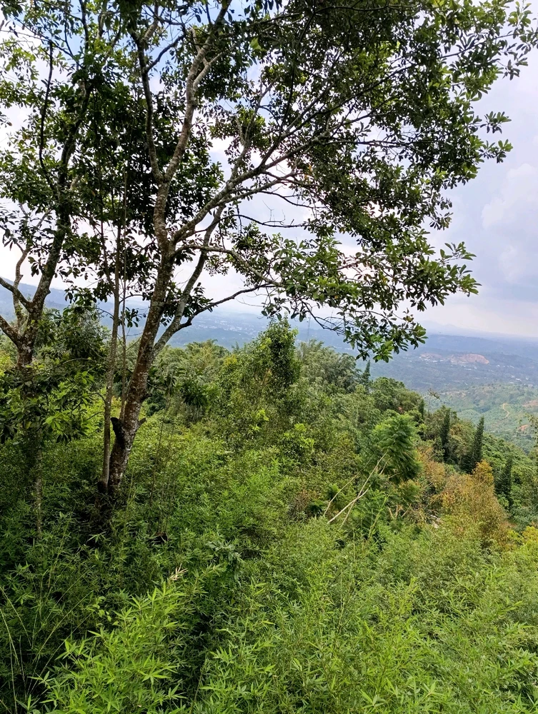 Image uploaded by Nguyên