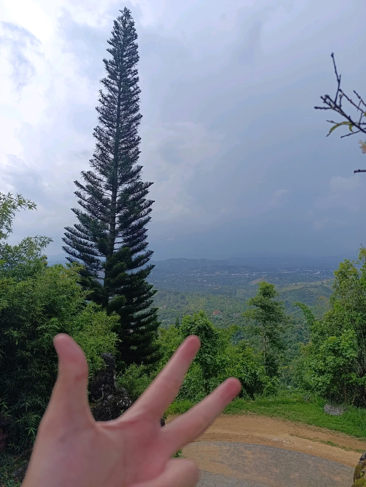 Image uploaded by Nguyên