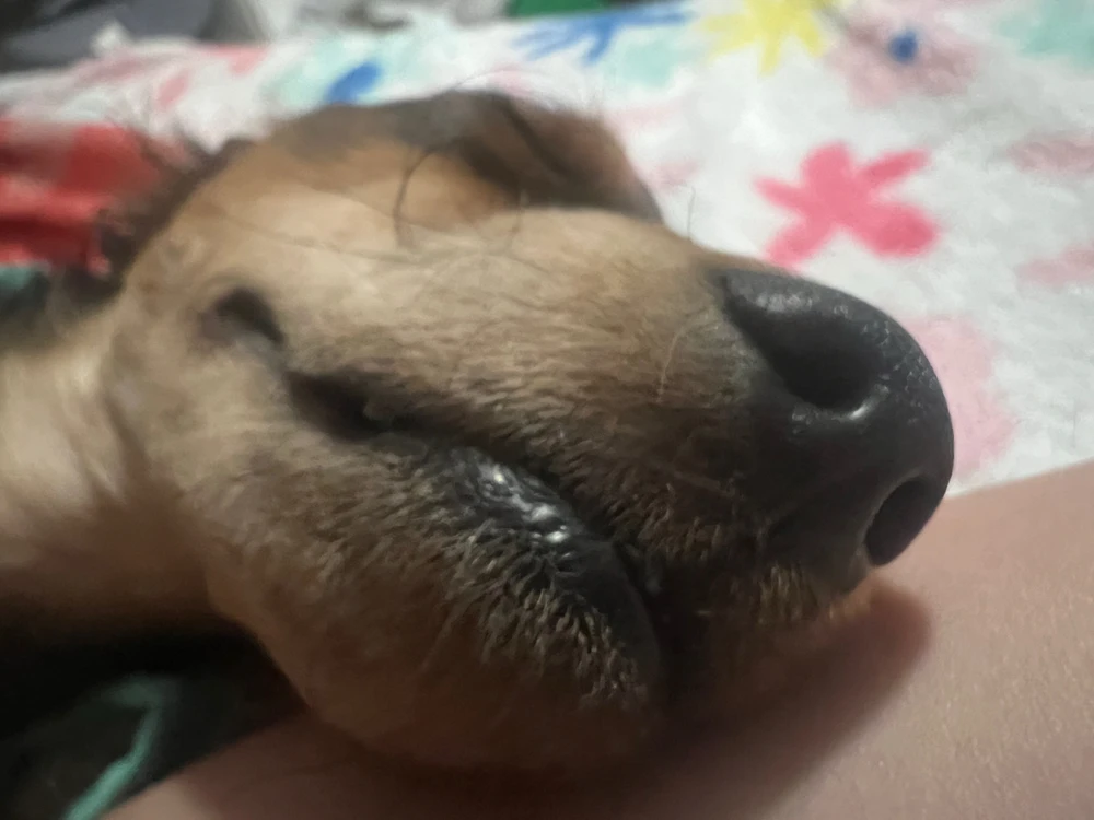 GIF uploaded by Diana