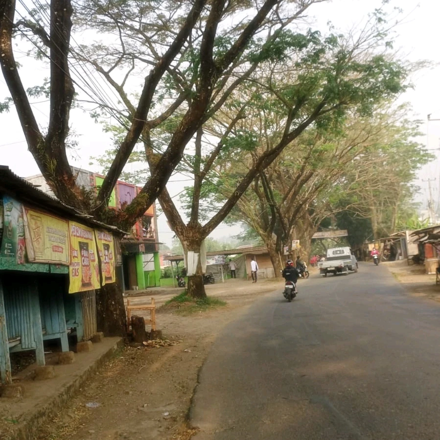 GIF diunggah oleh Mercurius