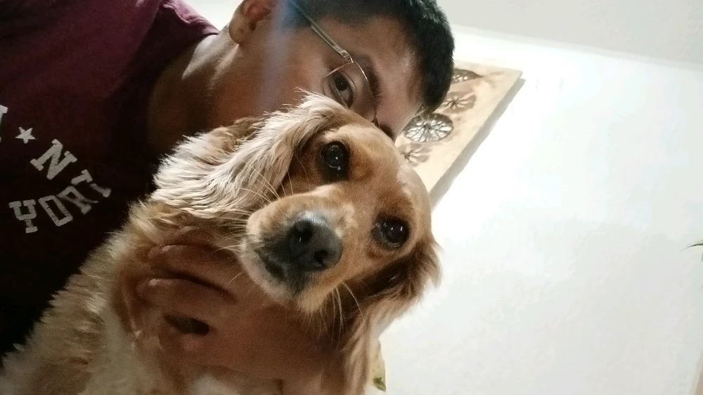 GIF subido por Cesar