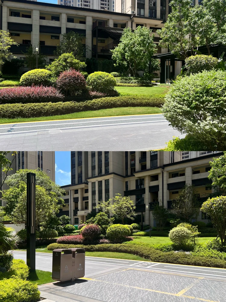 Image uploaded by Queenie