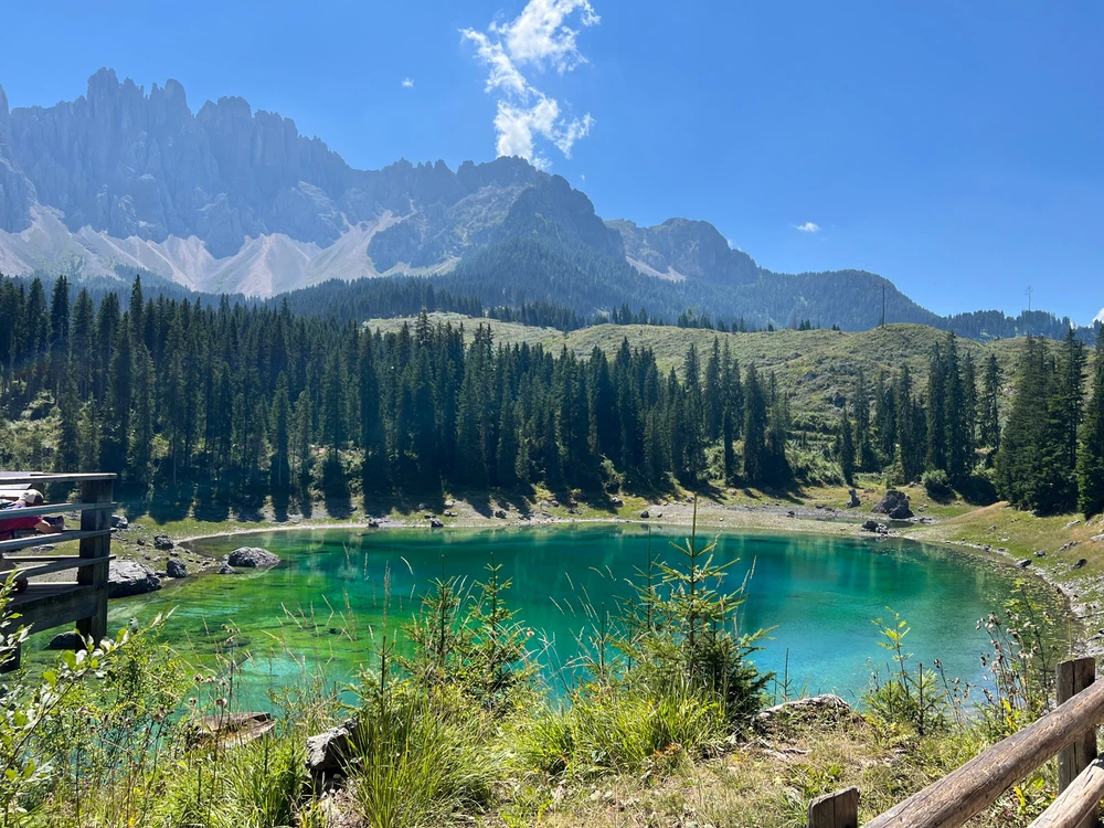 Immagine caricata da Enzo