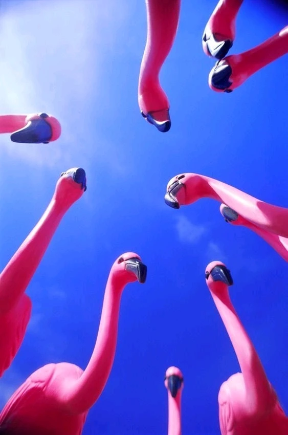 Гіфку завантажив Natalia🦇