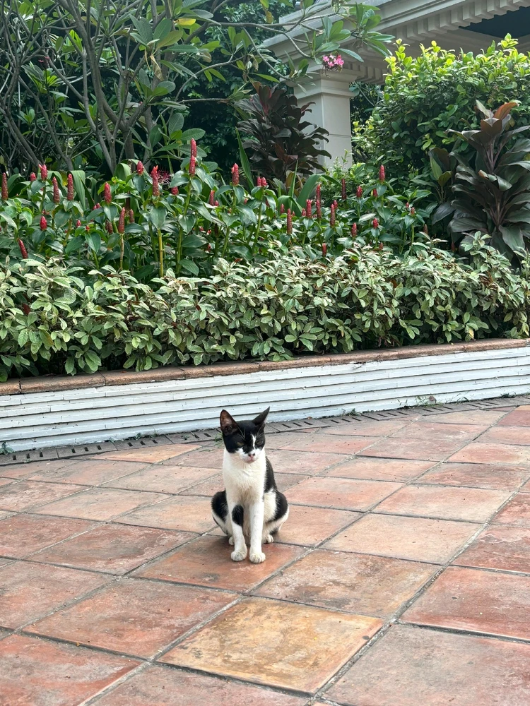 GIF diunggah oleh Tina