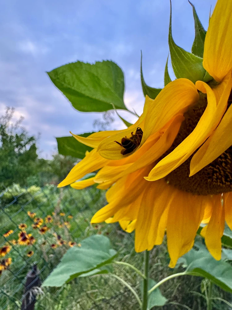 GIF dodany przez Szymon